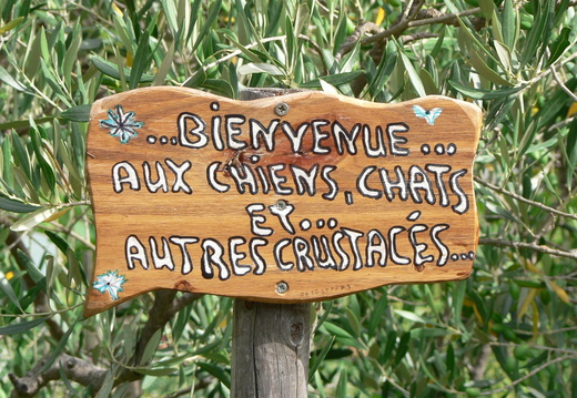 Insolites, amusantes, esthétiques...